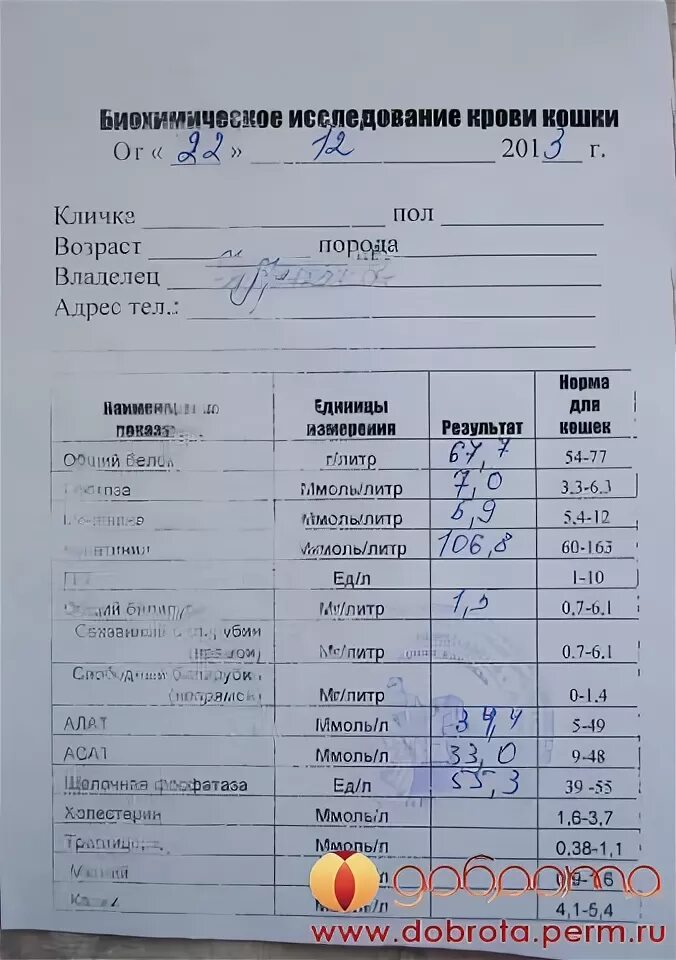 Пришли результаты гистологии