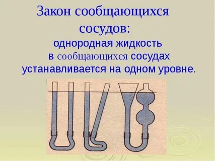 В сосудах есть клапаны