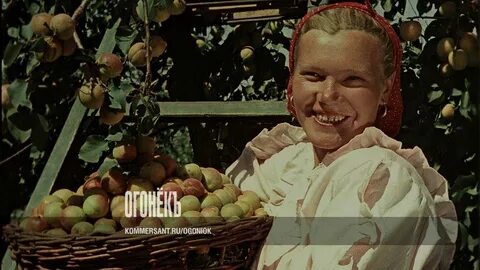 Битва за урожай