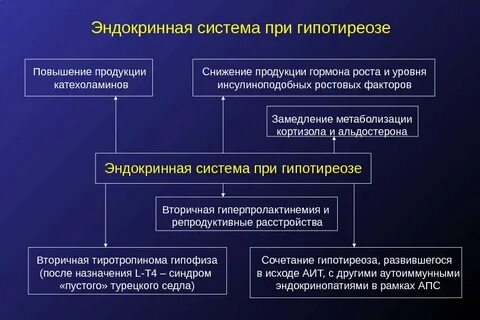 Репродуктивной эндокринной системах