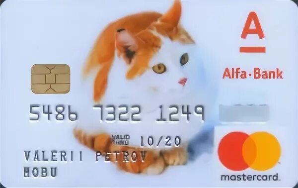 Кошка с банковской картой. Детская карта Альфа банк. Карта Cat Bank. Банковская карта детская с кошкой.