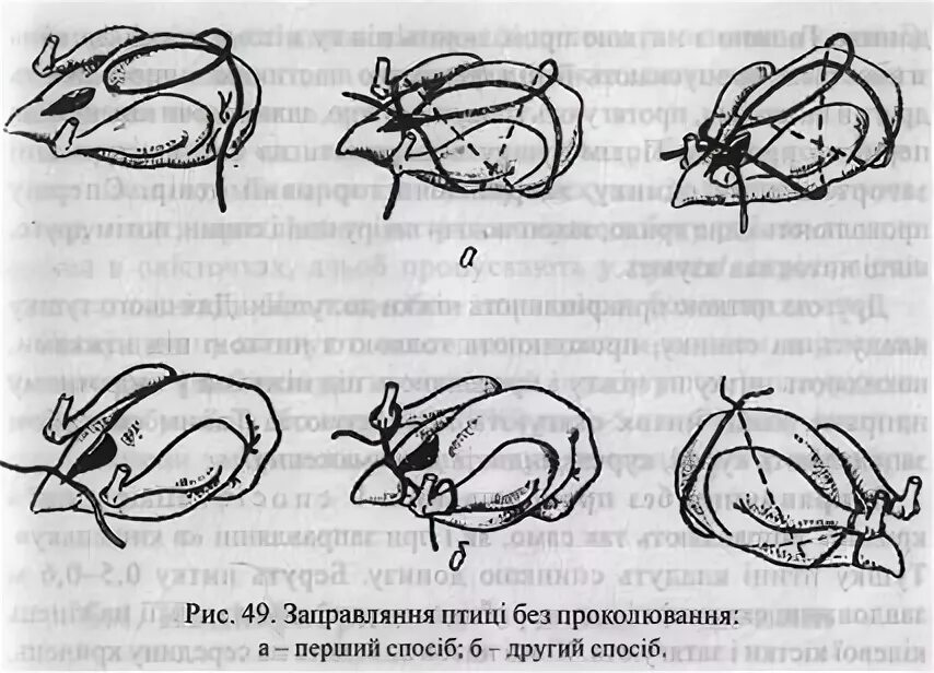 Перечислите способы заправки птицы. Заправка птицы в одну нитку. заправка птицы в кармашек. виды заправки тушек домашней птицы в одну нитку. виды заправки тушек домашней птицы в кармашек.