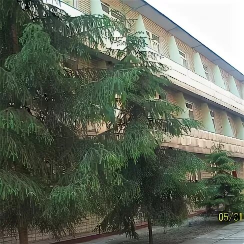 жемчужина дона санаторий павловск детский.