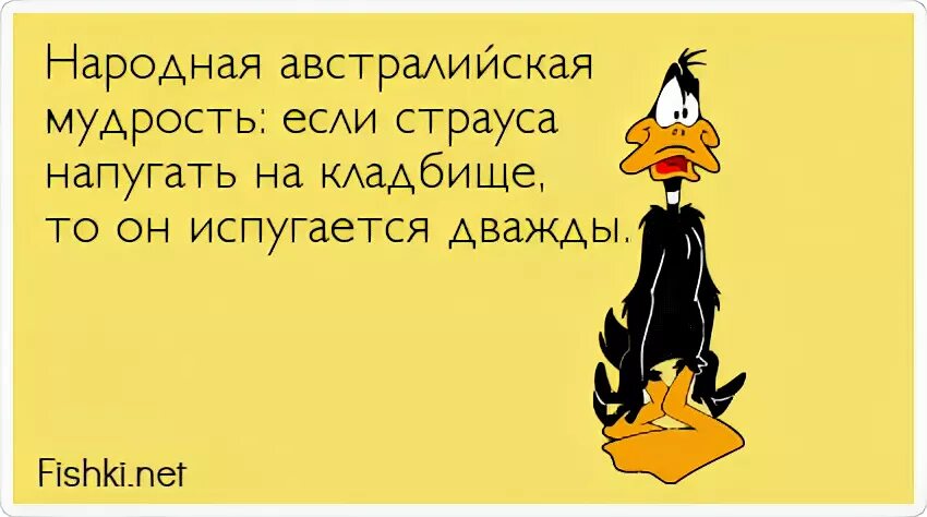 Анекдот про утро. Ты хоть само выспалось чудовище каждодневное. Утро ты само то выспалось. Утро ты само то выспалось чудовище каждодневное. Утро ты само то хоть выспалось.