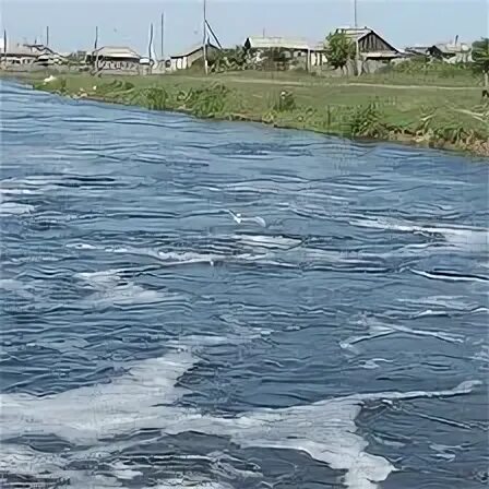 Деревня усть логатка омская область. Погода в усть логатке. Село молька. Дамбы усть логатка. Погода в усть логатке.