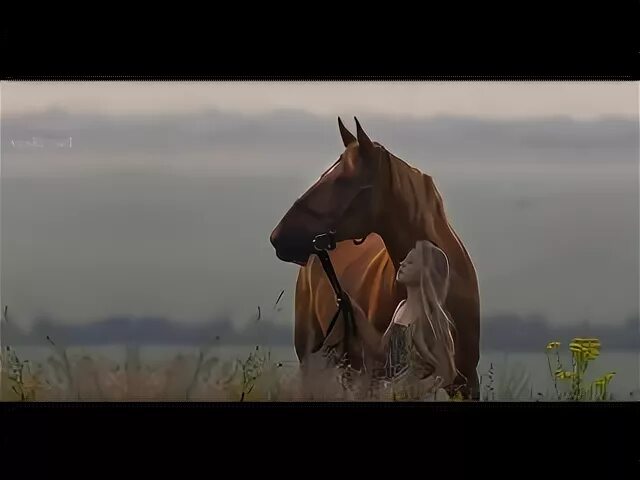 Конь в одиночестве. По ПОЛЮШКУ конь.