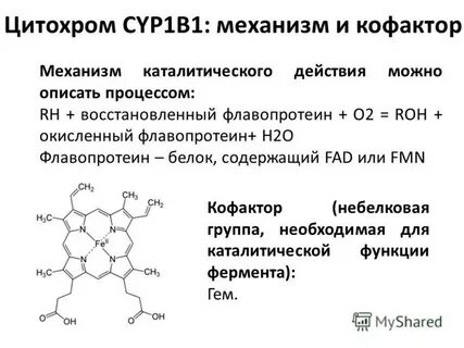 Цитохром