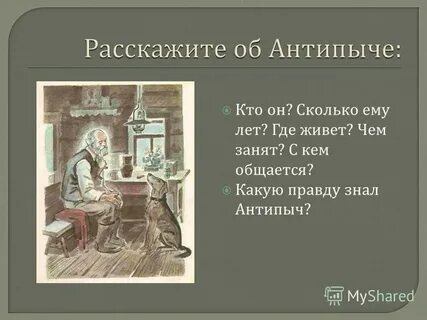 Антипыч кладовая солнца