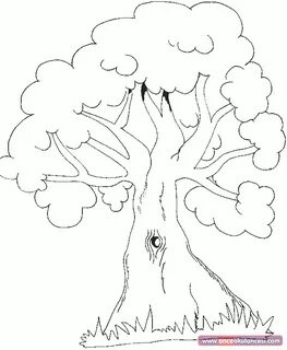 Free Printable Tree Coloring Pages For Kids, Cool2bKids