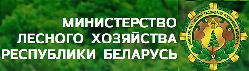 Сайт млх рб. Министерство лесного хозяйства. Символ лесного хозяйства. Герб Министерства лесного хозяйства.