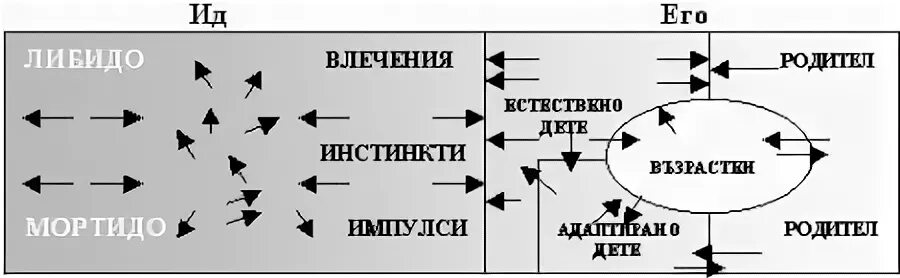 Мортидо