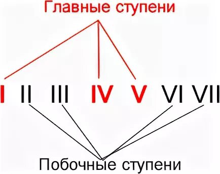 Доминанта музыкальный. Главные и побочные ступени. Устойчивые и главные ступени.