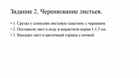 Черенкование комнатных растений лабораторная работа 6 класс