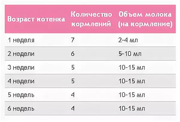 Чуть больше полтора месяцев. Нормы кормления котят 1 месяц молоко. Нормы кормления котенка до 2 месяцев. Норма кормления новорожденного котенка. Нормы кормления новорожденных котят.