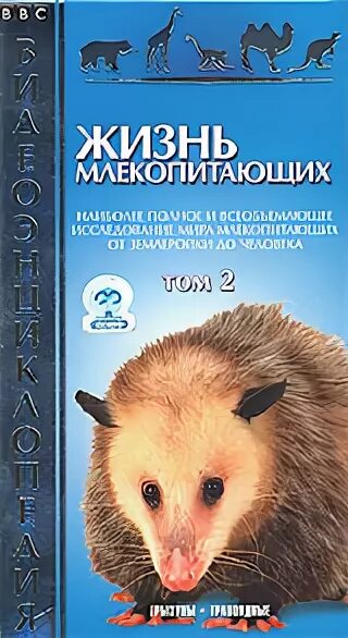 Биология отряд ластоногие. Жизнь млекопитающих. Жизнь млекопитающих. Bbc жизнь млекопитающих. Жизнь млекопитающих дэвида аттенборо.
