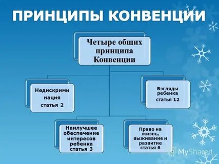 Принципы конвенции