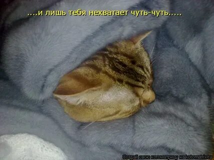 Нехватать