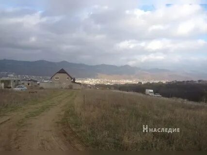 Снт золотая рыбка