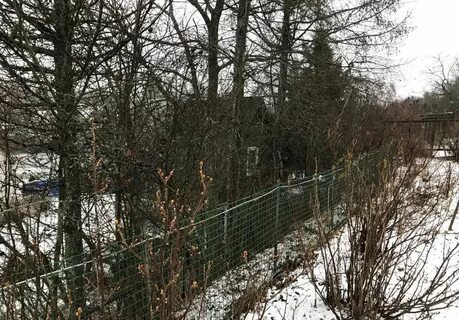 Снт восход тверская область