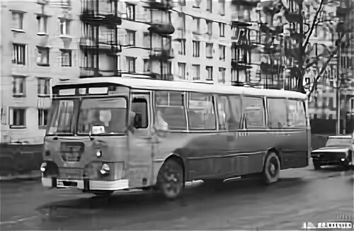 106 Автобус СПБ. Вs106 автобус.