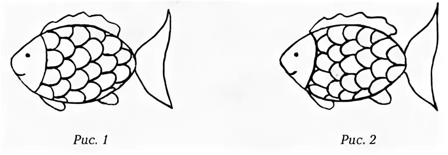 Как рисовать чешую рыбы. Макет рыбки. Тату рыбы эскизы. Рыбка эскиз. Найди длину рыб на рисунке.