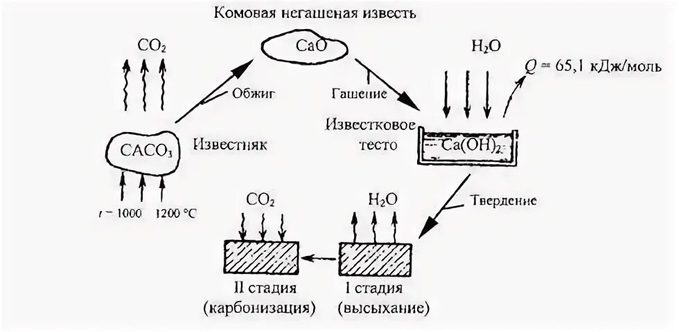 Взаимодействие диоксида элемента x с гашеной известью