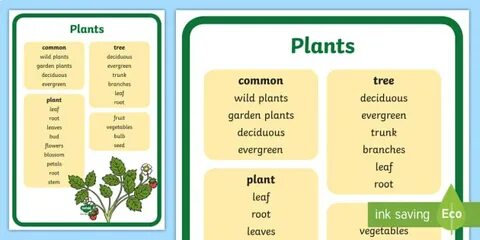 Plant перевод с английского