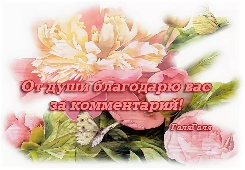 Благодарю за высокую оценку. Открытки спасибо за комментарии. Благодарю за комментарий. Спасибо за комментарий очень приятно. Благодарность за комментарий.