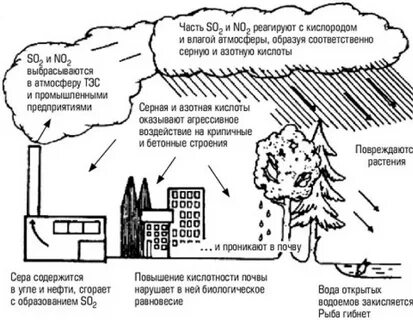 Воздействие кислотных дождей на окружающую среду