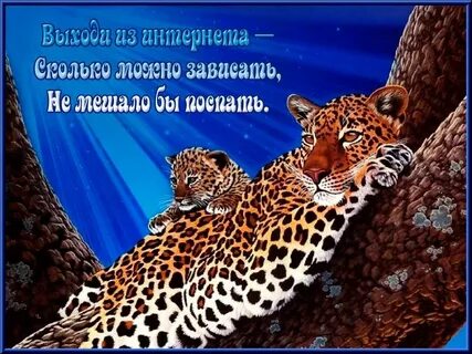 Спокойно больший