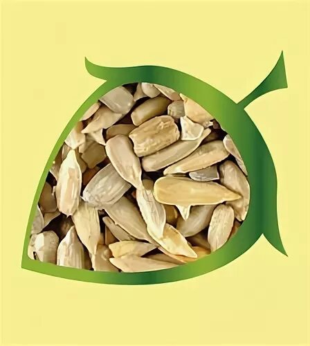 семена льна польза. семечки понижают давление. семена льна при давлении. семечки при высоком холестерине. семечки повышают давление.