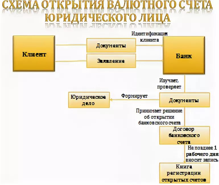 Открытие валютных счетов в банке. Порядок открытия валютного счета. Схема открытия валютного счета. Открытие валютных счетов. Порядок открытия валютных счетов юридическим лицам.