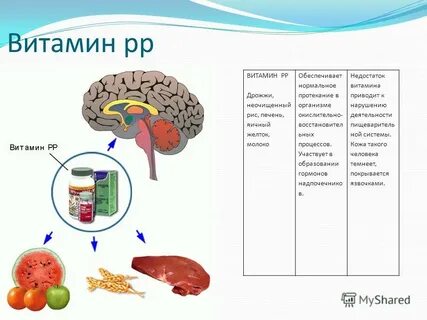 Витамин в 3 биологическая роль