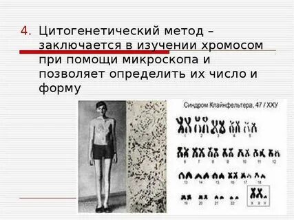 Метод изучающий хромосомы