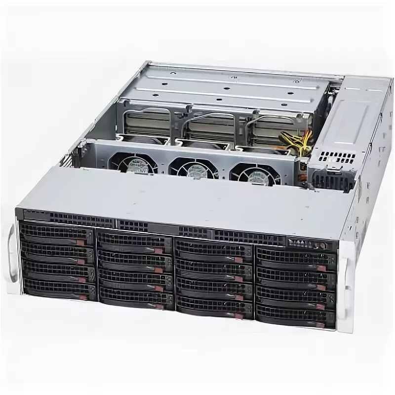 Cse45531366
