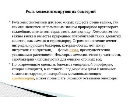Роль хемосинтезирующих бактерий в экосистемах