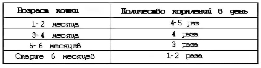 Сколько раз кормить котенка. Сколько раз надо кормить котенка. Сколько раз в день кормить котенка. Сколько раз в день надо кормить котенка. Сколько раз в день нужно кормить котят