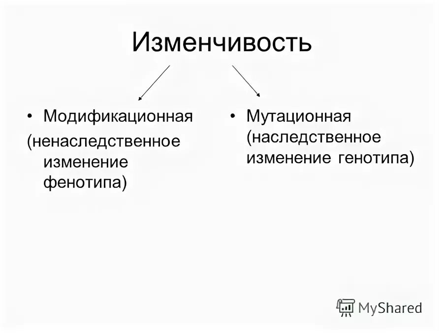 Наследственное и ненаследственное изменение