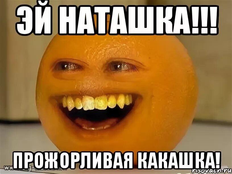 веселая какашка. какашки дура. маша и медведь мемы. какашки дура. какашки дура.