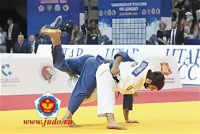 рашид ибрагимов дзюдо. денис ибрагимов дзюдо. максуд ибрагимов дзюдо саратов инстаграм. ибрагимов дзюдо. ибрагимов дзюдо.