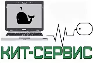 Кит туроператор. Сайт кит сервис. Кит-сервис, волгоград, улица позднышева. Сайт кит сервис. Кит сервис волгоград.