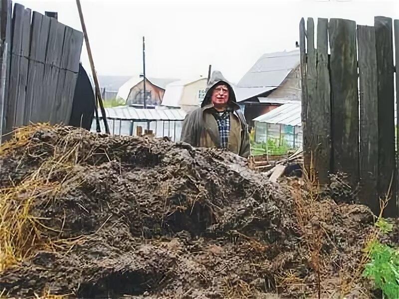 Курнула вроде не навоз песня как называется. Навоз в деревне. деревенские в навозе. колхоз навоз.