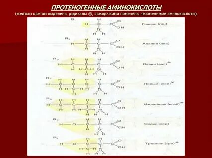 Боковые радикалы аминокислот