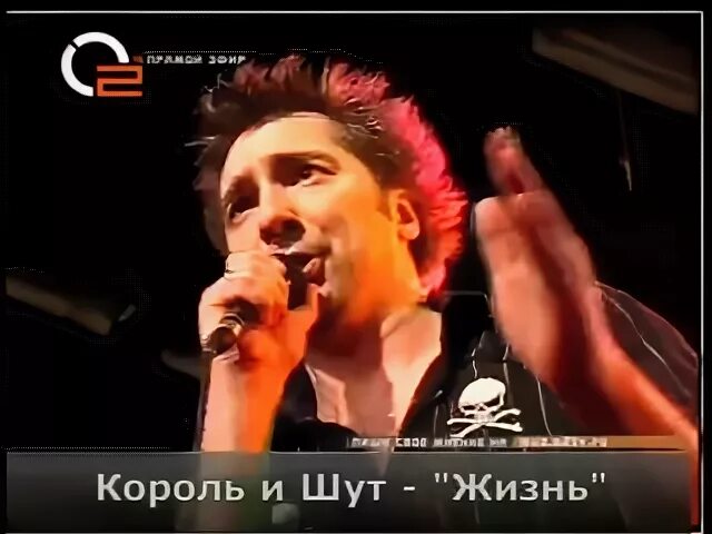 Король и шут жизнь