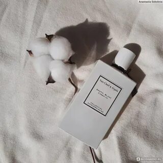 Blanc отзывы
