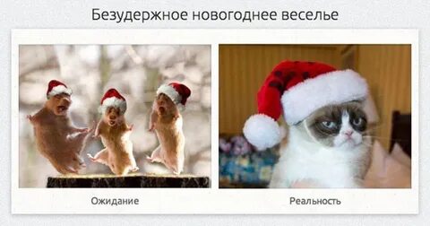 Ожидание реальность новое