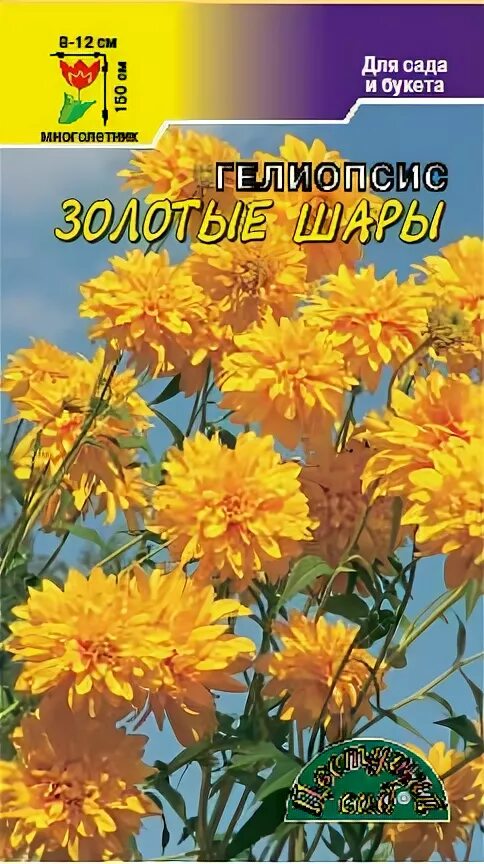 Семена золотых шаров. Гелиопсис многолетний золотые шары. Гелиопсис золотой шар. Золотой шар цветы многолетники семена. Семена гелиопсис шероховатый золотые.