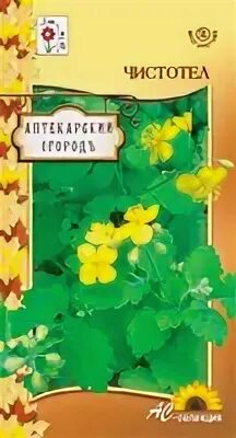 Чистотел большой семена. Чистотел рассада. Чистотел семена как выглядят.