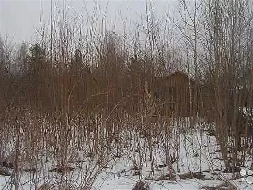 Участок в ликино дулево. Участок в ликино дулево. Орехово-зуевский городской округ, деревня коротково. Участок в ликино дулево. Участок в ликино дулево.