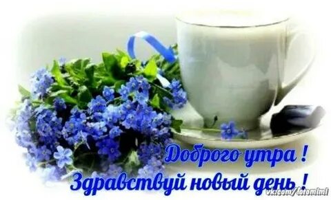 Здравствуй утро нового дня